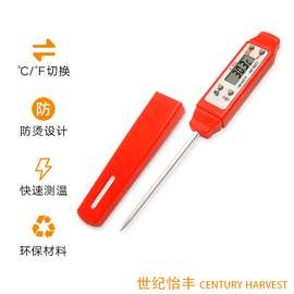 家用肉类食品温度计跨境H03小型电子水温计厨房高温探针式油温计