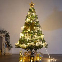 2024 クロスボーダークリスマスツリーセットゴールデンホームモールウィンドウ装飾クリスマス高級暗号化装飾