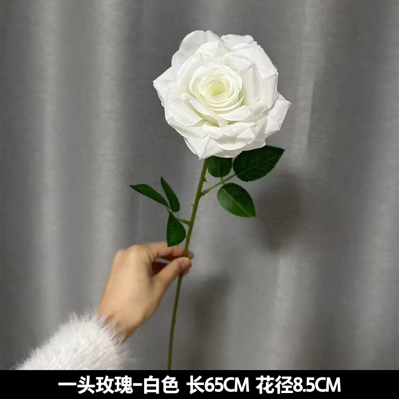 싱글 헤드 로즈 화이트