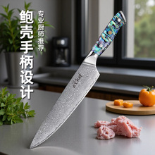 �羳�N����67�Ӵ��Rʿ��VG10�ֱ��N����ʽ����Ƭ�����������˵�