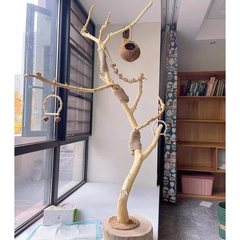 鹦鹉站杆干树枝去皮小鸟架树枝文艺鸟架灯架酒店婚庆花艺装饰造景