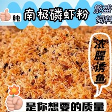 �ϘO�[�r����~���ö����a�~���~�����D�ϸC��Ұ��~�D���ӄ����