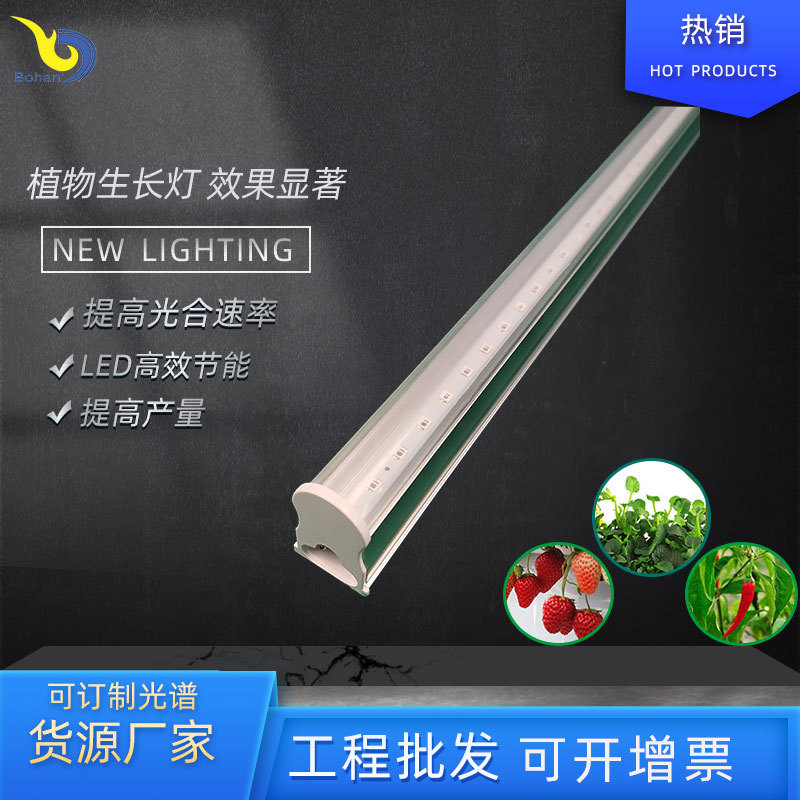 植物生长灯管LEDT5一体化全光谱植物补光灯管红蓝光植物灯