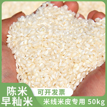 散裝大米桂朝米米粉米糕米線腸粉用大米桂朝大米50kg裝貴朝米批發