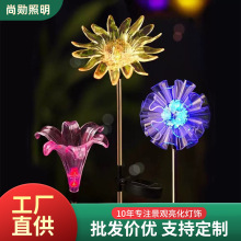 ̫ܽ򻨟Շbƺ@ͥԺز滨b