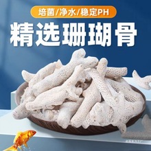 鱼缸过滤材料天然珊瑚骨底砂净化珊瑚石造景滤材锦鲤鱼池珊瑚砂