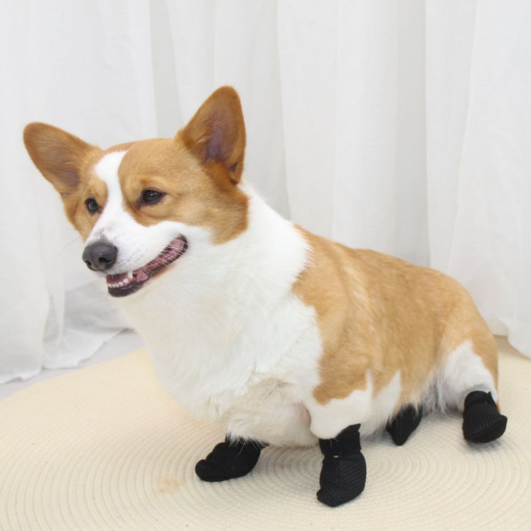 제조업체 맞춤형 도매 고양이 발 커버(목욕, 주사, 긁힘 방지), 애완동물 신발 커버(발톱 자르기, 물림 방지), 애완용품