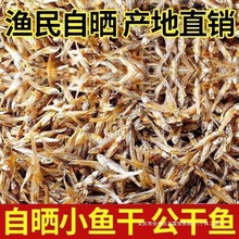 野生小鱼干新货自晒渔民海燕鱼干炒菜花生米自制风干小鱼干海鲜