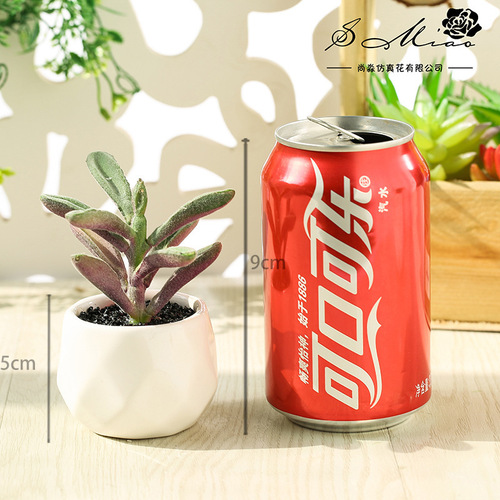 Artificial Flower Succulent Terrarium Creative Shelf Decor, Factory Direct Amazon Artificial Flowers, One-Time Order Plant