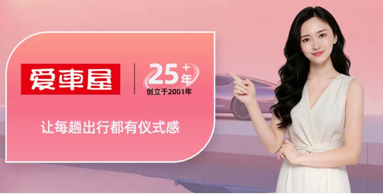 Car House Waist Cushion Office Chair Back Cushion Car Waist Cushion Pregnant Women Waist Pillow Seat Pillow Backrest