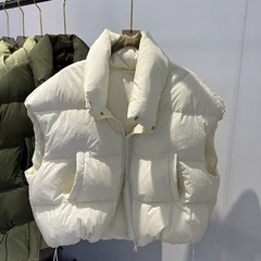 外国貿易ダウンコットンベスト女性のための 2025 秋と冬の新しい韓国スタイルルーズコットンチョッキ無地ベストジャケット