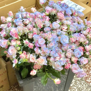 ����{���^õ���r��DIY����Ů����ĸ�H���DŮ���̎������˹�����