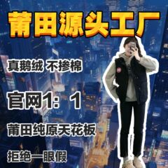 新版本08款24FK经典远征大鹅家马甲男女情侣款工厂现货