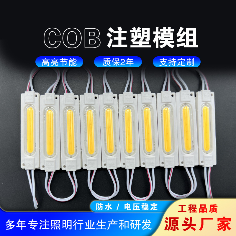 Engineering Advertising Lamp Led Module Injection Molded Luminous Sign Lamp 2835Cob Module Lens Luminous Module