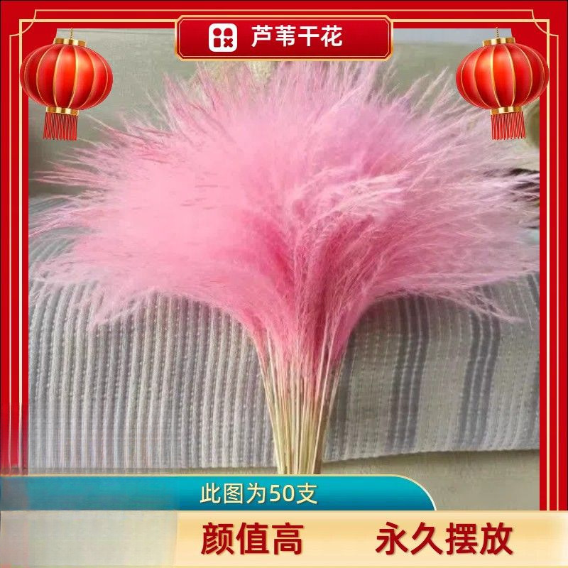 网红芦苇干花花束天然蒲苇客厅摆件超大婚庆拍照装饰仿真永生花|undefined