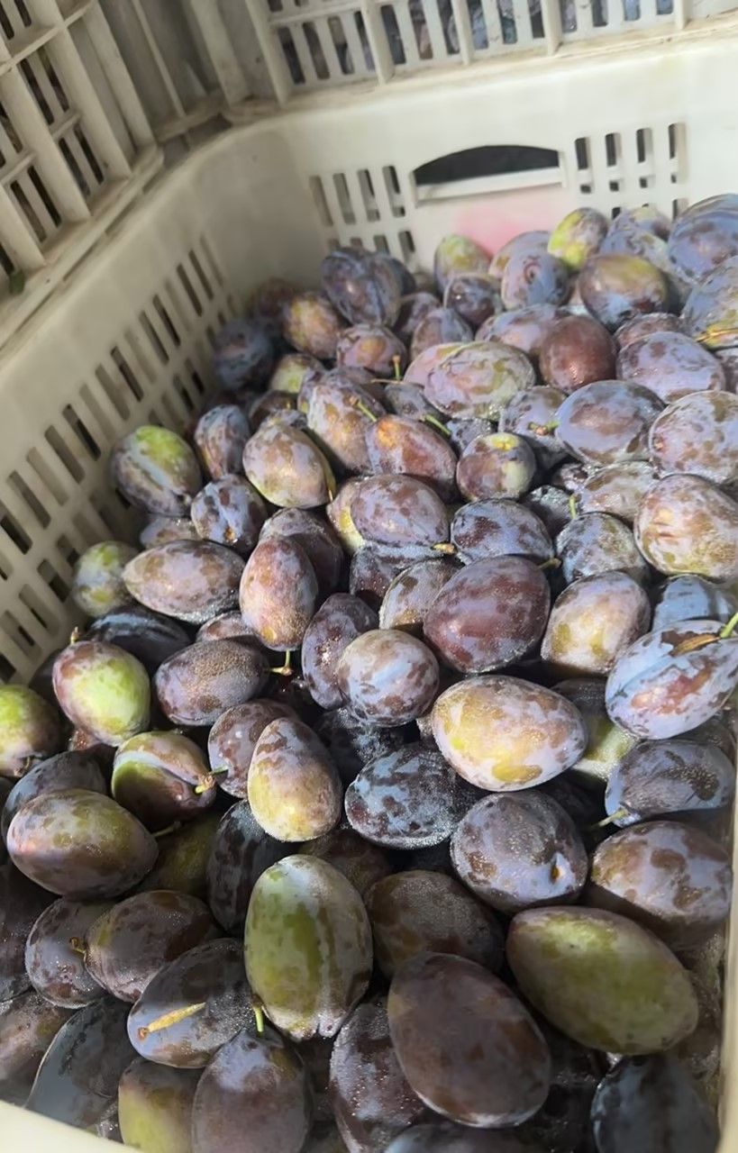 微信圖片_20230719103342