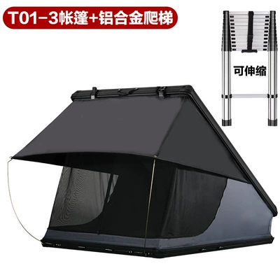 Avtomobil dam çadırları Tent for Camping, Suv - t01-3-telescopic-ladder-consult-customer-service-for-details