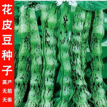 ƤǷNӸ߮aoƤNӰæǟoܶNZ