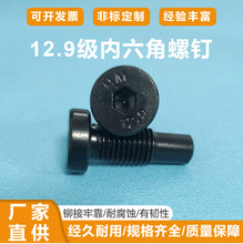 ����12.9���A�^�������ݽzᔸߏ��������T�i�T���������T���˨