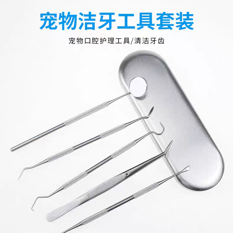 강아지 치석제거, 구취제거, 테디구강청소, 치과핀셋, 치아세척, 치과용 애완동물관리도구