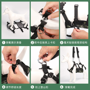 Cross-border pet supplies new second generation pet beauty hammock dog cat nail cutting cleaning care tools