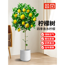 ˮʘļʳ҃ȿ͏d̨BܾGֲ