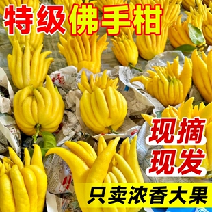 ���ָ��r�����r���ֹ��Ў�֦�҃Ȕ[���幩�^�p���ʳ�û������l