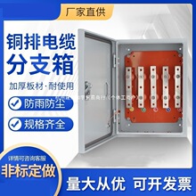 矿物质绝缘楼层桥架铜排箱T接箱分支接线箱JXTI电缆T接端子箱现货