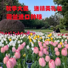 ���m�M�ڴ�N��������ˮ���ذ��ļ��û�ͥԺ�̨����ֲ�ﻨ�N�ٺ�