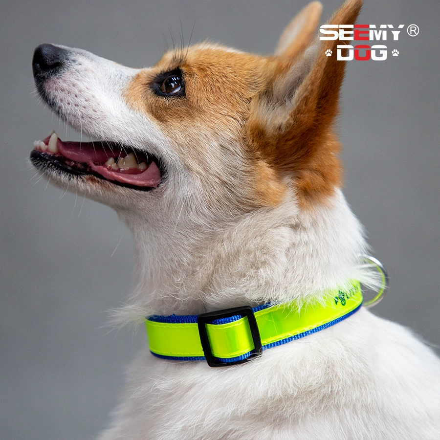 Светоотражающий ошейник для собак с логотипом Amazon, светящийся в темноте, флуоресцентный желто-зеленый, с сетчатым дизайном