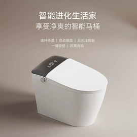 智能马桶;普通马桶;智能马桶盖