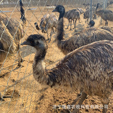 ���^�@���^�p�����r�B������������ �����r�B���r�B�� �r�B�Bֳ��