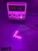 Pink light