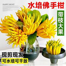 ˮ��ֲ���r�Ў������ָ����r�Fժˮ�����ֹ��҃ȾGֲ���Բ廨�^�p