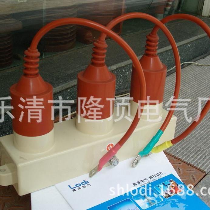 品牌 TBP 隆顶电气 内置计数器  过电压保护器  TBP-10