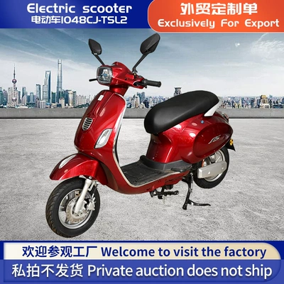 Foreign Trade Export Electric Vehicle Tsl2 Electric Motorcycle High-Speed Long-Range Battery Vehicle New Model Two-Wheeled Scooter Electric Vehicle