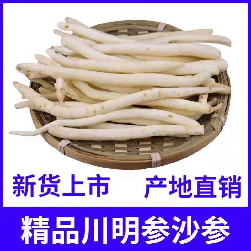 四川川明参批发沙参明参明党参产地煲汤节地摊货煲汤料