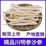 四川川明参批发沙参明参明党参产地煲汤节地摊货煲汤料