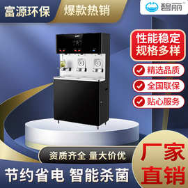 成都单位直饮水开水器净水器 反渗透直饮机 温热不锈钢替代桶装水