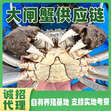 F؛Ʒзlз朸Ʒƹ؛؛Դ֧֮aԴ