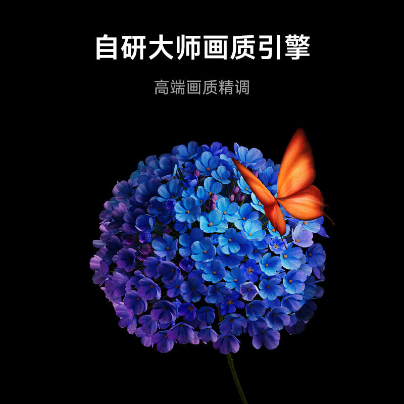 小米电视S 55/65/75/85 MiniLED 高阶分区240Hz超高刷节能电视机|undefined
