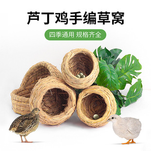 �J���u�C�쾰�W�^�B�ݸC�g�����øCС�u�쾰��Ʒ�J���u�µ���ů�C