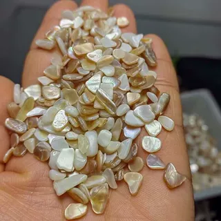 100克价白贝壳碎石随型摆件鱼缸石盆景石花园装饰境外批发