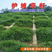 ƺNo²ѰļݸéĽ̺ͺβ