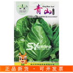 神鹿青山牛心甘蓝杂交种春秋季尖包菜春丰包菜莲花白津耘华春甘蓝