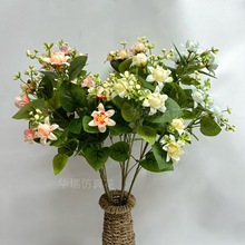 �¿����ˮ���m ���~ˮ���m ����ֲ������b廨�[����Y���ü�