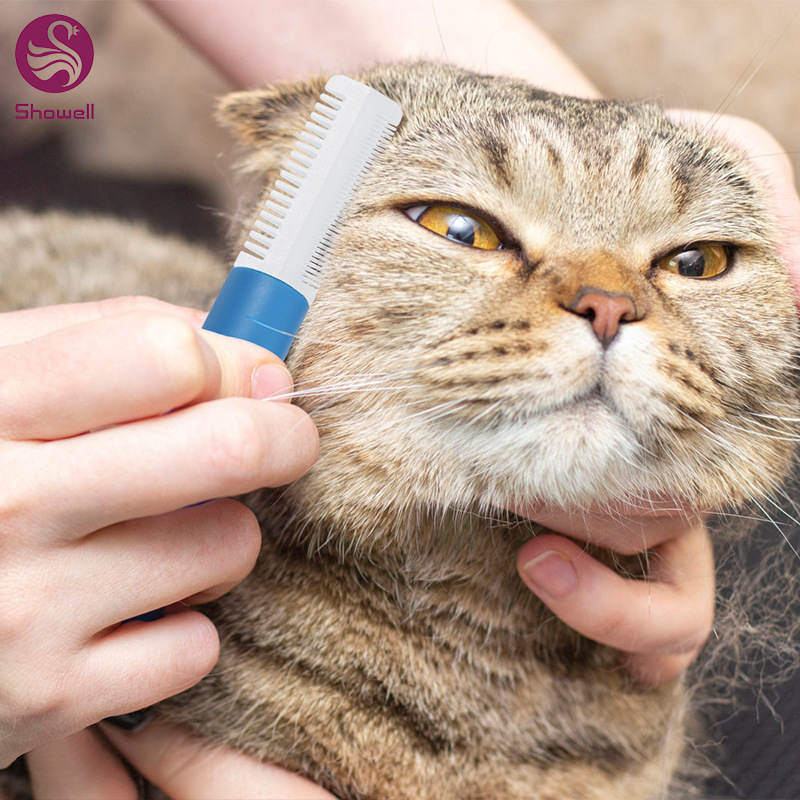 羳һ๦ëèëṷëȥëĦ