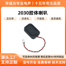 2025�¿�2030ǻ�w����4�W8�W2wȫ�l�P��ͶӰ�x�ߵؙC���