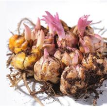 ���l��ˮ�ٺϻ��N�� ��ѿ�ļ��׻�N���ѾGֲ��������ܰٺ�����