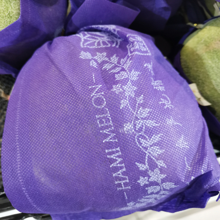 纺粘无纺布PP聚丙烯无纺布水果包装用布丙纶不织布厂家批发现货